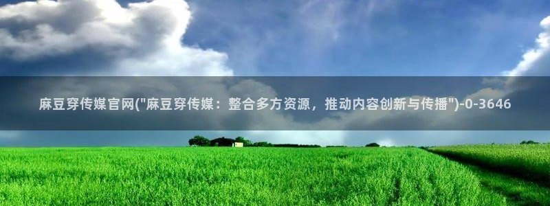 麻豆专题描述