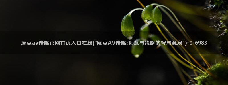 麻豆精品内容