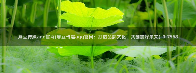 麻豆视频模板标签