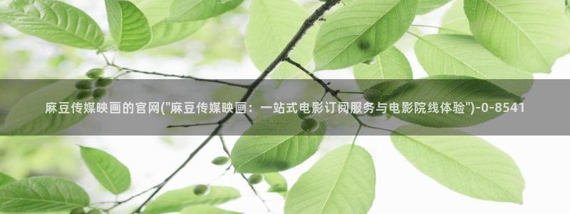 麻豆视频内容聚合