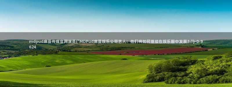 麻豆自定义库