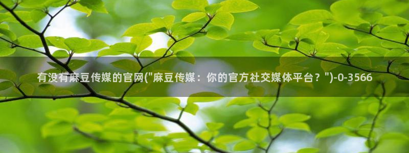 麻豆资料页