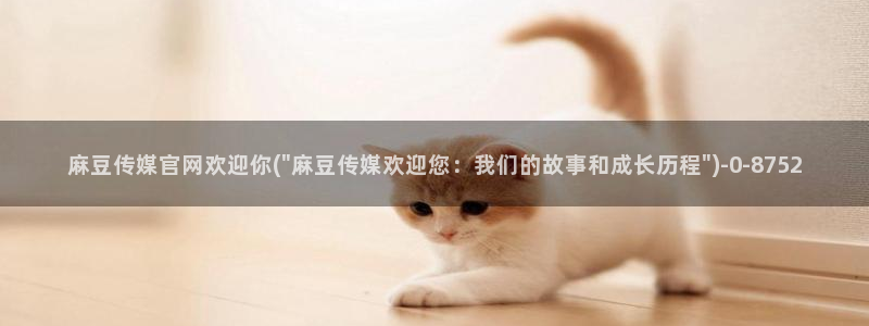 麻豆传媒合集