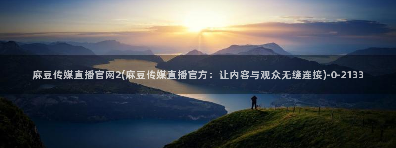 麻豆内容整理