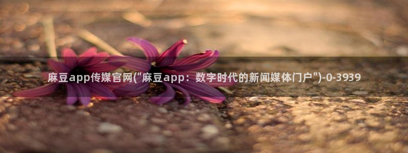 麻豆视频排行文案