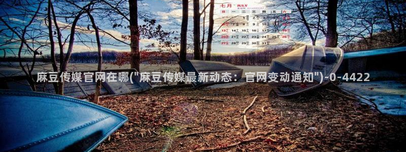 麻豆精品视频：麻豆传媒官网在哪(\
