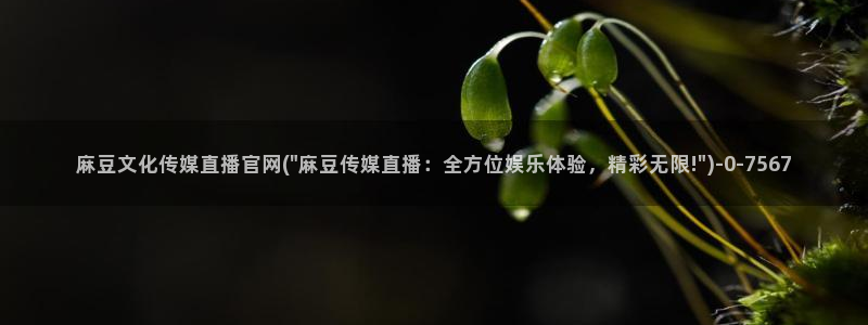 麻豆视频页面结构