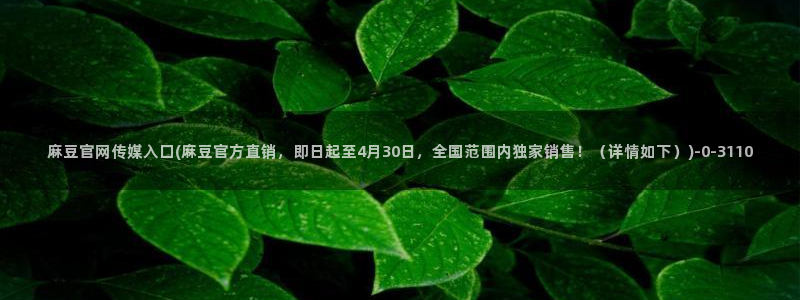 麻豆系列观看顺序