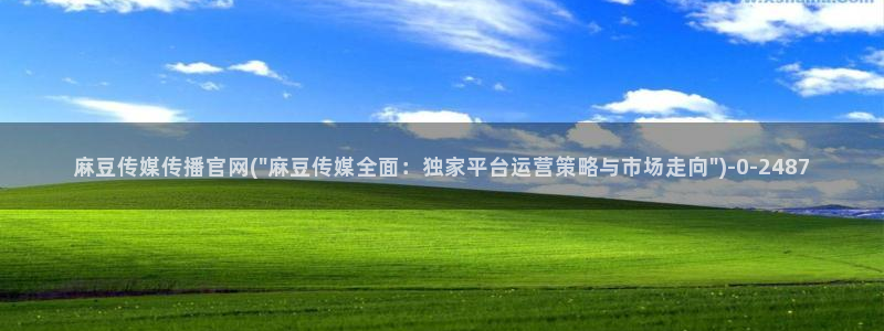 麻豆视频分类名称