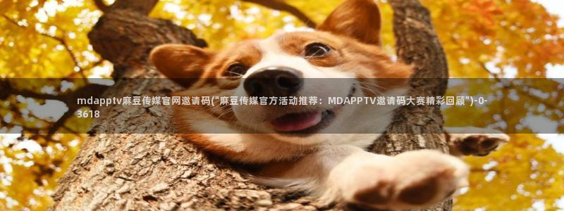 麻豆视频更新