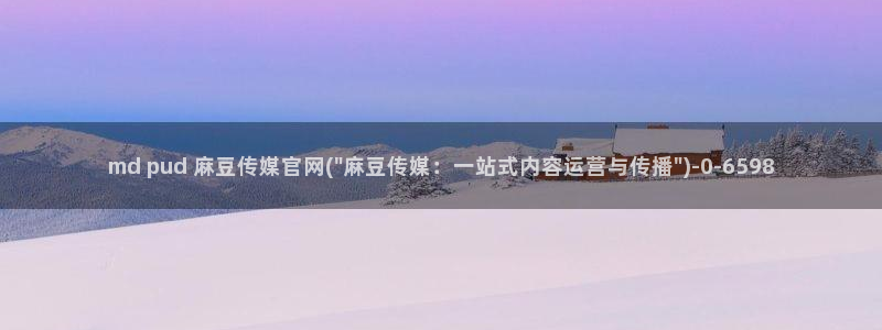 麻豆视频标签规划