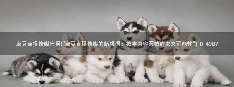 麻豆视频专题