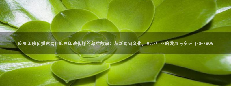 麻豆剧情解析