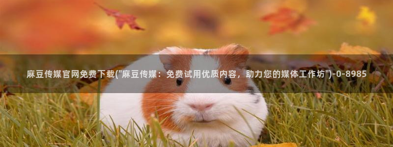 麻豆站点地图