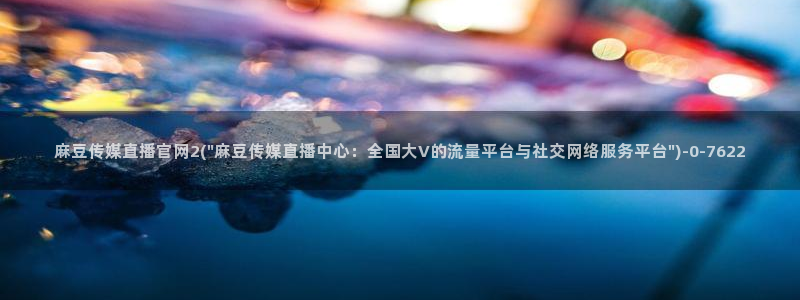 麻豆视频文章描述