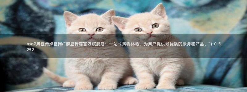 麻豆精品内容
