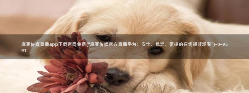 麻豆榜单描述
