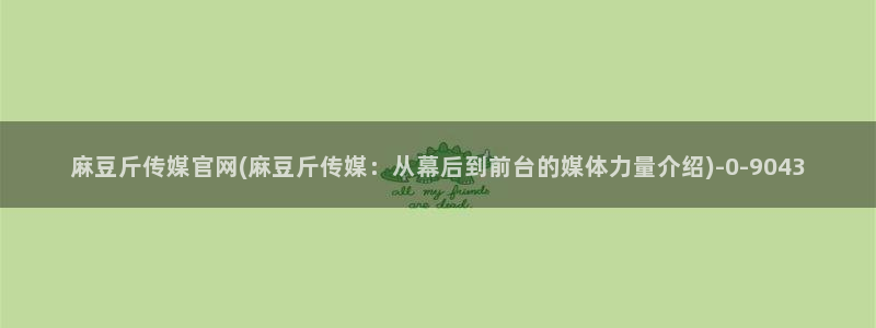 麻豆视频栏目规划