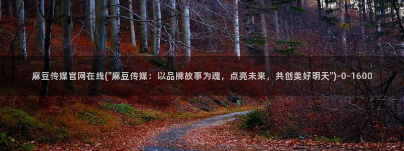 麻豆视频SEO词库