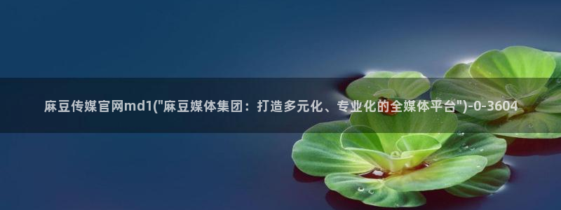 麻豆百度收录