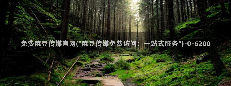 麻豆视频文章标题