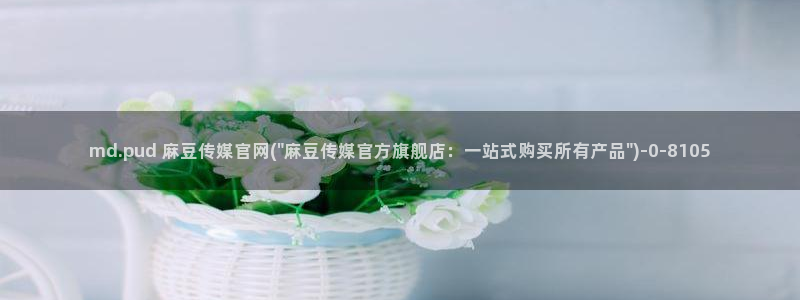 麻豆视频目录