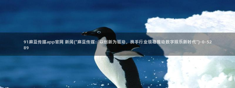 麻豆视频目录